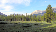 Canada-Alberta-Kananaskis Mountain & Prairie Expedition